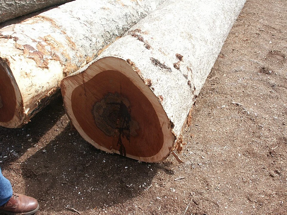 Kayu Merbau